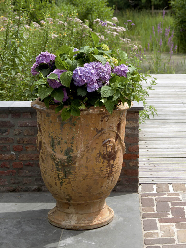 Vasen & Blumentöpfe & Achterhuis